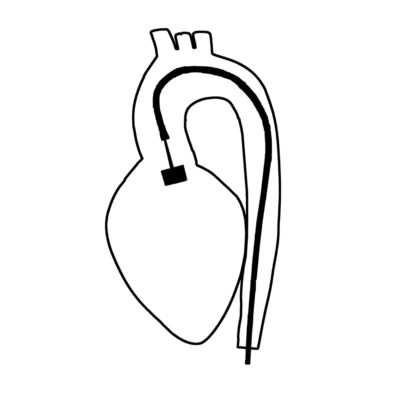 Structural Heart and Valve Therapy